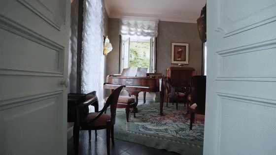 IMG_8676.GIF