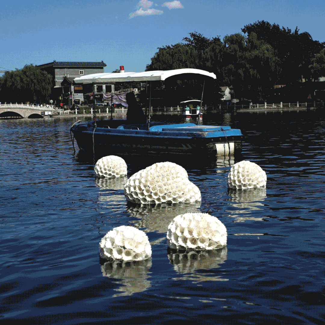 IMG_8836.GIF