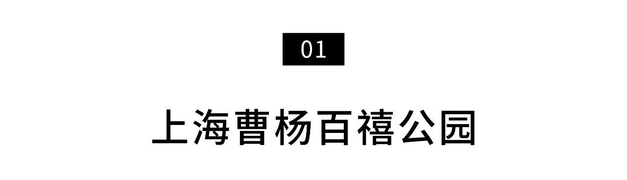 IMG_6191.PNG