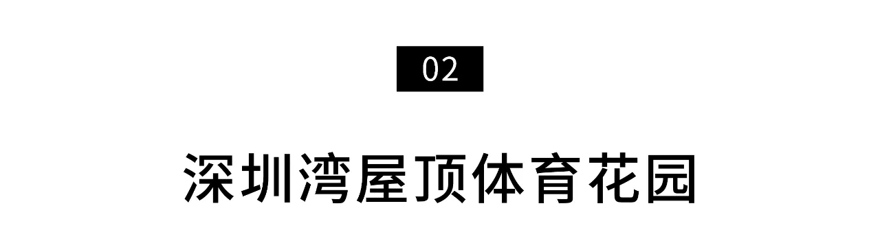 IMG_6202.PNG