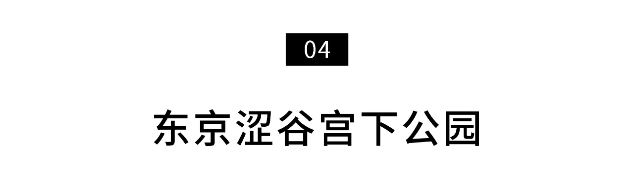 IMG_6218.PNG