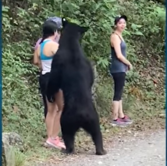 black-bear-hikers.jpg