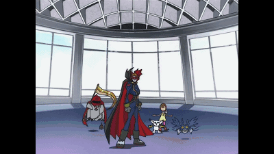 61.gif 61.gif