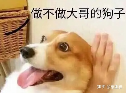2.jpeg 2.jpeg
