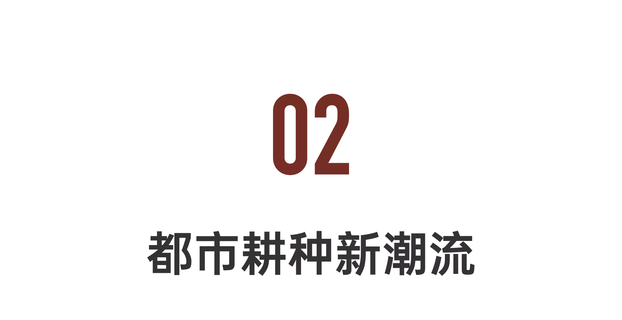 IMG_1037.PNG