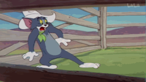 25.gif 25.gif