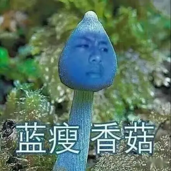 26.jpeg 26.jpeg