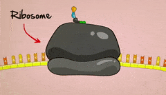 3.gif 3.gif