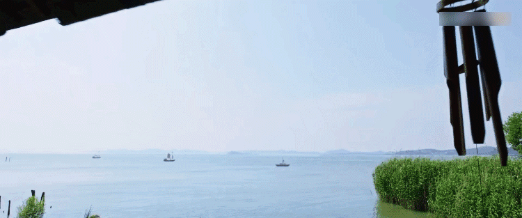 IMG_9284.GIF
