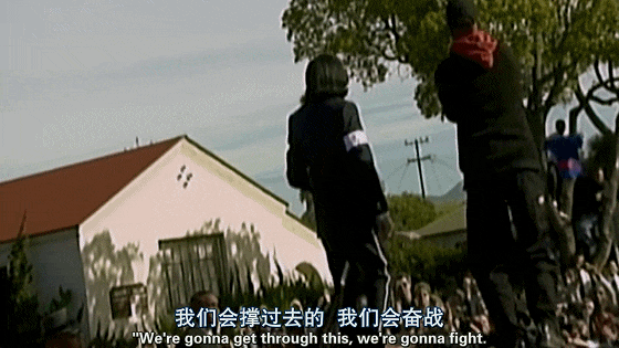 IMG_0290.GIF