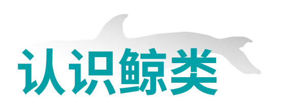 IMG_0140.PNG