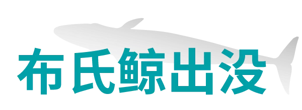 IMG_0153.PNG