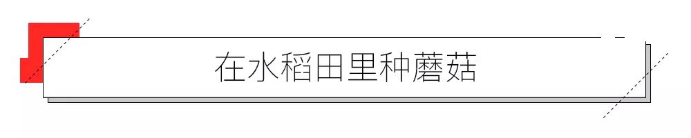 IMG_3119.PNG