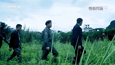 IMG_0950.GIF