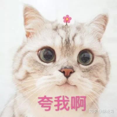 835820B4-E2B7-4FD5-98FA-20AF2BEA0690.png