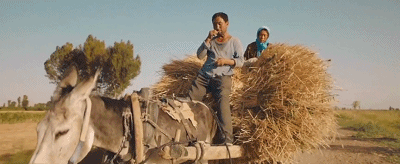 IMG_1155.GIF