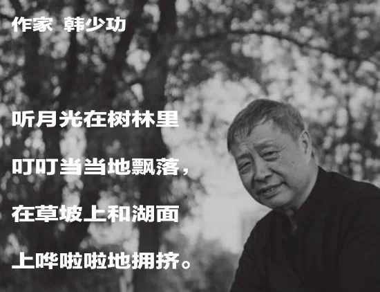 IMG_0611.PNG