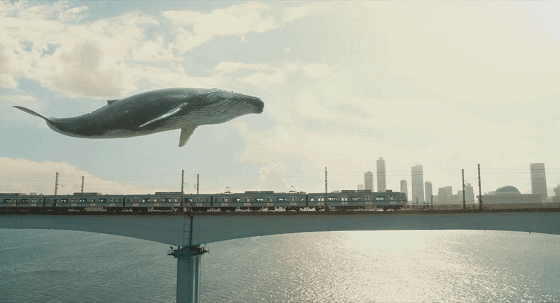 IMG_3351.GIF