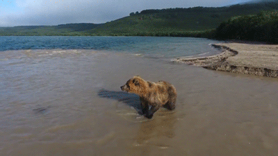 IMG_3824.GIF