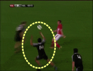 20.gif 20.gif