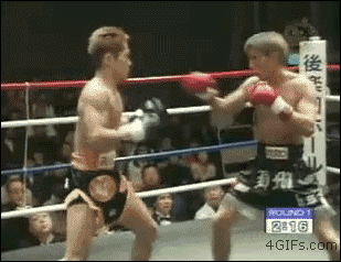 23.gif 23.gif