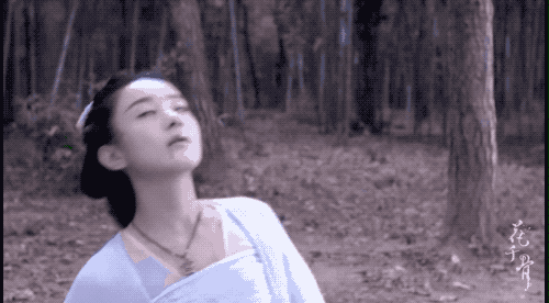 21.gif 21.gif