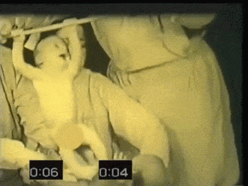 26.gif 26.gif