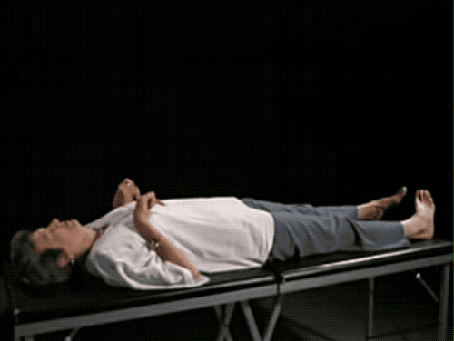 27.gif 27.gif