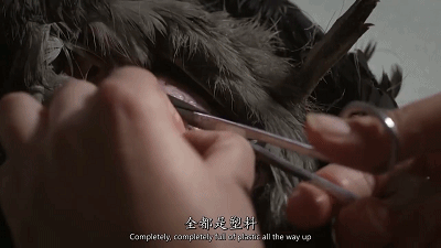 IMG_6282.GIF