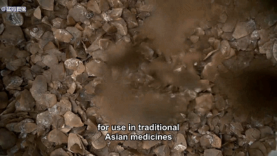 IMG_6280.GIF