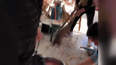 IMG_6294.GIF