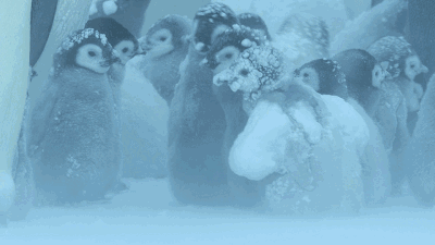 IMG_6318.GIF