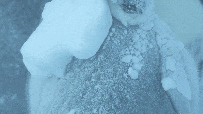 IMG_6319.GIF