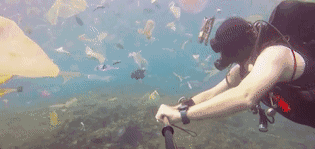 IMG_6323.GIF