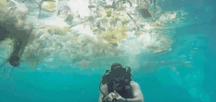 IMG_6321.GIF