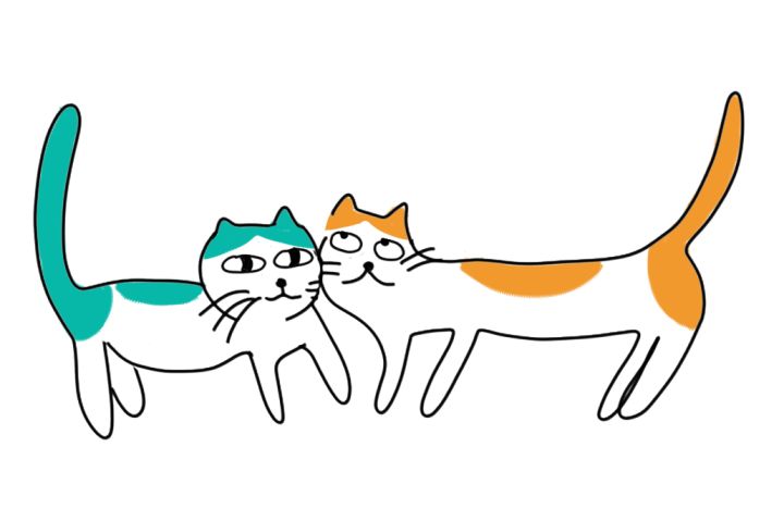 7.jpeg