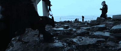 IMG_6979.GIF