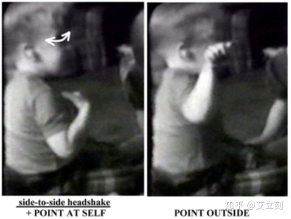41.jpeg 41.jpeg
