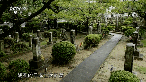IMG_7919.GIF