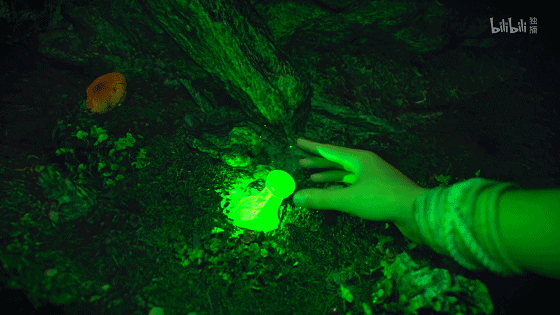 IMG_9091.GIF