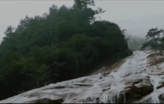 47.gif 47.gif