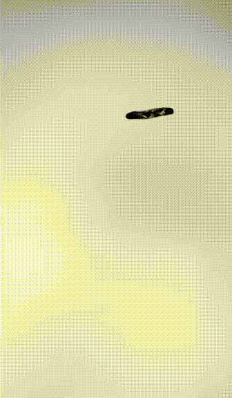 16.gif 16.gif