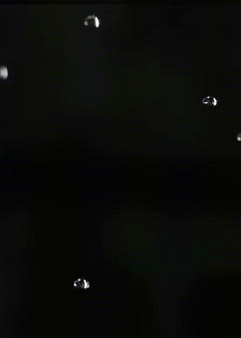 14.gif 14.gif