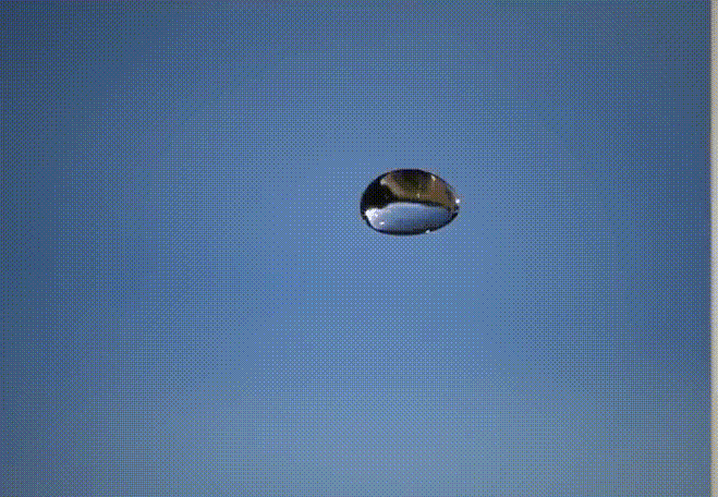 18.gif 18.gif