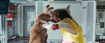 IMG_2264.GIF