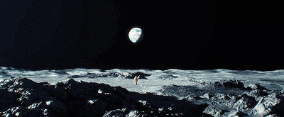 IMG_2282.GIF