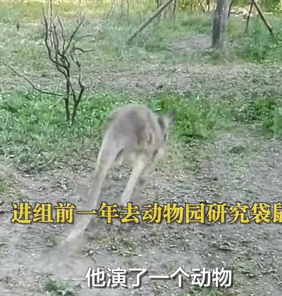 IMG_2286.GIF