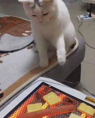 2.gif 2.gif