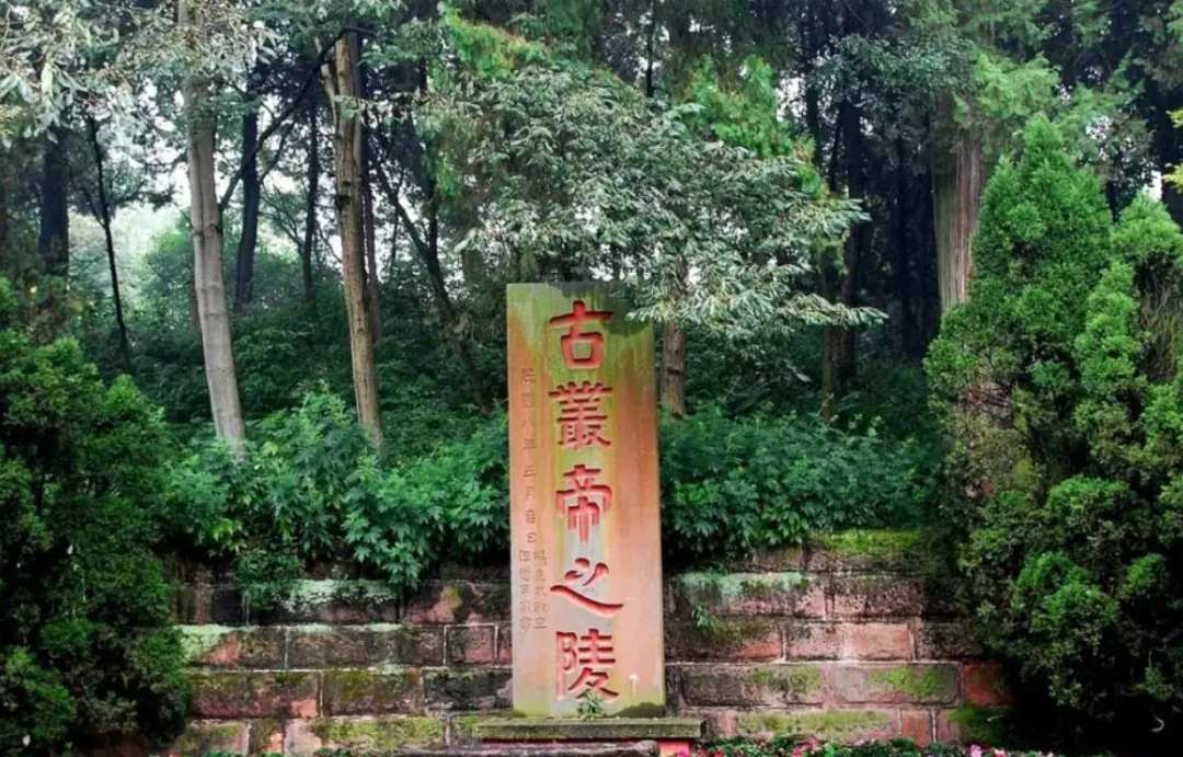 IMG_2207.PNG