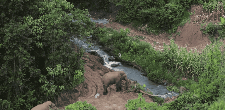 IMG_7858.GIF